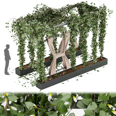 Collection plant vol 28 — Ver 1