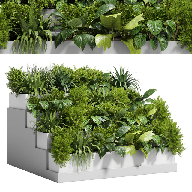 Stairs plant - Collection outdoor indoor plant 78 concrete vase pot fern bush grass — Descargar