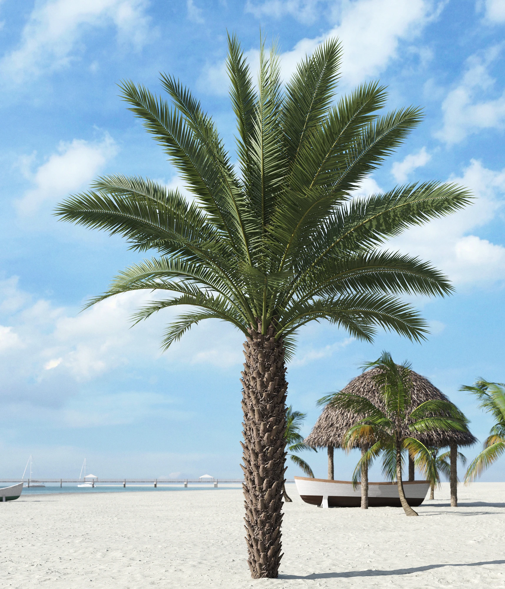 palm trees 015 — Descargar