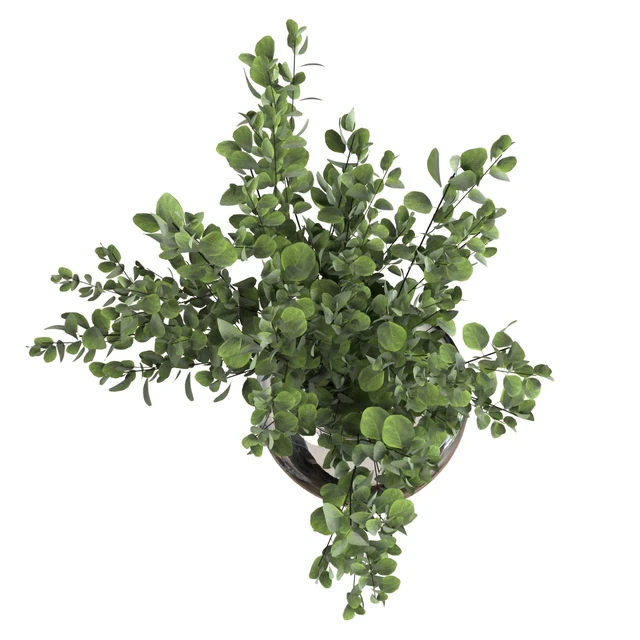 Bouquet green — Descargar