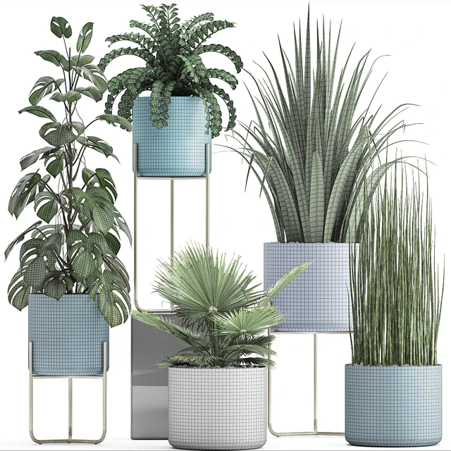 Plant collection 281. Monstera, brachea, palm tree, horsetail, indoor plants, pot, Scandinavian style, bushes, exotic, indoor — Descargar