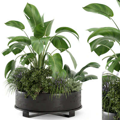 Outdoor Plants Bush in rusty Metal Pot - Set 222 — Ver 1