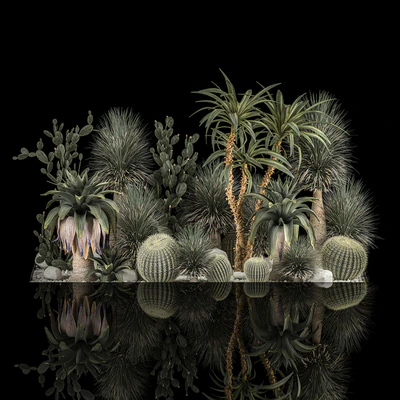 Collection of tropical plants of the desert 1117. cactus, yucca, prickly pear, thickets, bushes, garden, dracaena — Ver 7