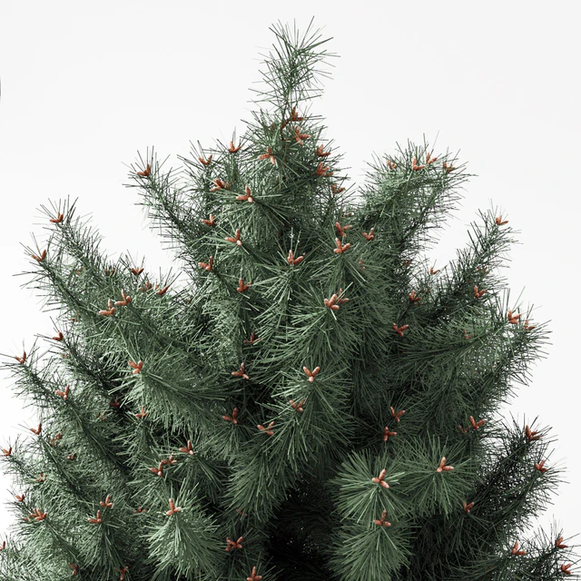blue Pine — Descargar