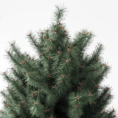 blue Pine — Ver 2