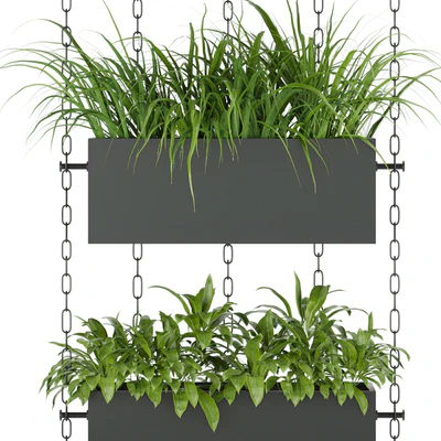 Collection plant vol 85 — Вид 2