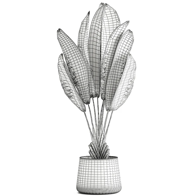 Exotic small flower in a pot with Ravenala, Strelitzia, Banana palm. 926. — Descargar