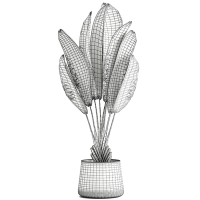 Exotic small flower in a pot with Ravenala, Strelitzia, Banana palm. 926. — Ver 3