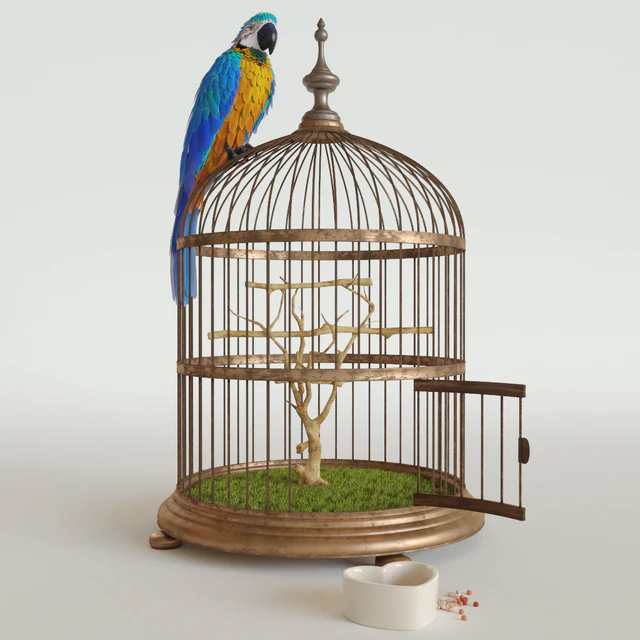 Parrot Ara — Скачать