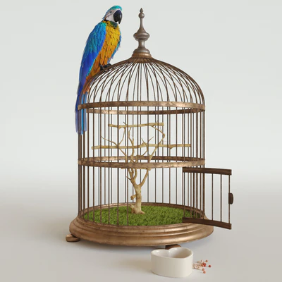 Parrot Ara — Вид 1