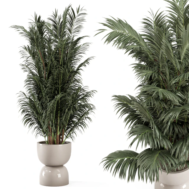 Indoor Plants  in rusty Concrete Pot - Set 352 — Скачать