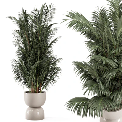 Indoor Plants  in rusty Concrete Pot - Set 352 — Вид 1