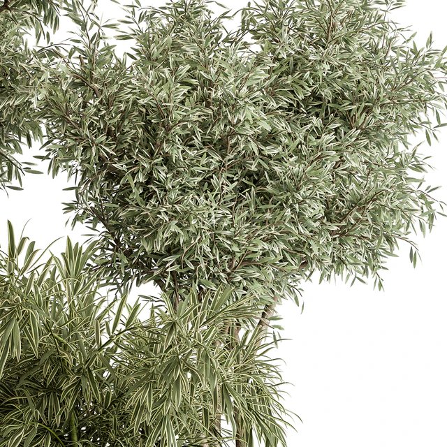 indoor Plant Set 417 - Tree and Bush — Descargar