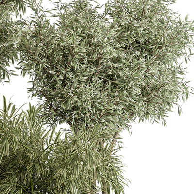 indoor Plant Set 417 - Tree and Bush — Ver 5