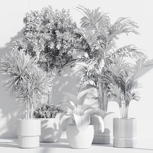 Indoor Plant Set 89 — Скачать