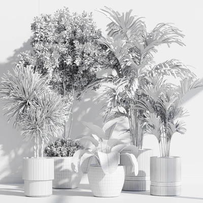 Indoor Plant Set 89 — Вид 5