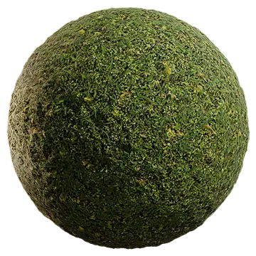 grass and weeds 001 — Скачать