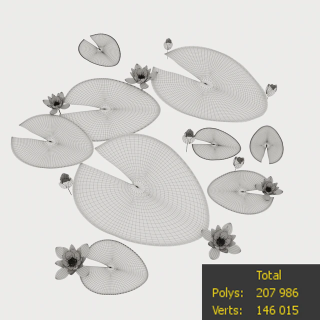 Water Lily — Descargar