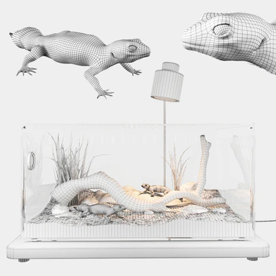 Terrarium with geckos — Ver 3