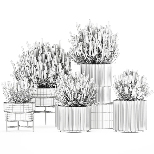 Wildflower bushes in outdoor flowerpots from lavender, catnip, sage, Plant Collection 1193 — Descargar