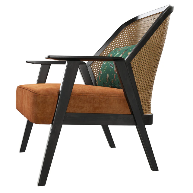 Roche Bobois Weg armchair — Скачать