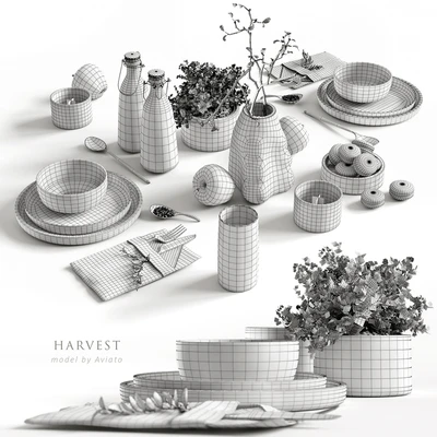 Harvest — View 2