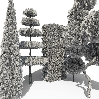 Туя №2 (Thuja #2) — Вид 4