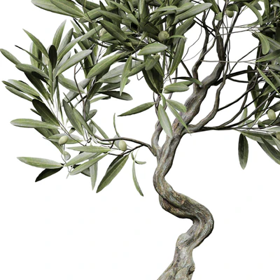 indoor Plant 289 — Вид 3