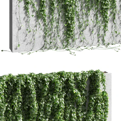 Ivy for the fence v2 — Ver 2