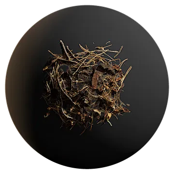 pine debris 005 — Descargar