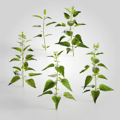 low poly plants 014 — Скачать