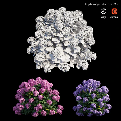 Hydrangea Plant set 23 — Вид 3