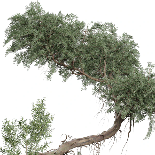 Outdoor Plant 180 — Descargar