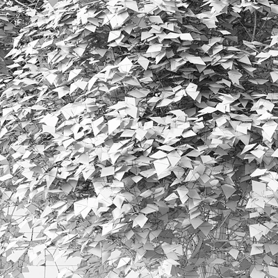 Trees 2 — Ver 2