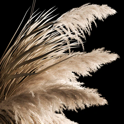Hanging bouquet of dry reeds and pampas grass for decoration and interior. 266. — Ver 6