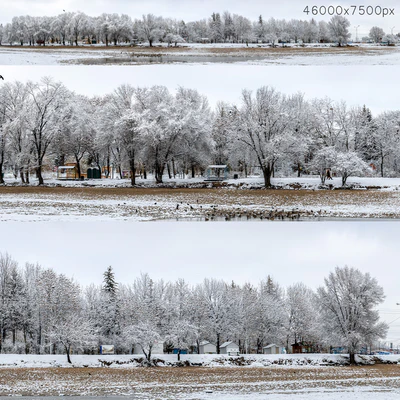 Panorama of the park with a lake and snow-covered trees. 46k — Ver 1