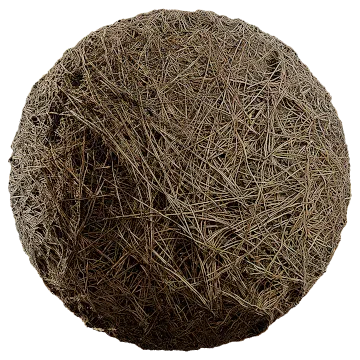 dried pine needles 002 — Скачать