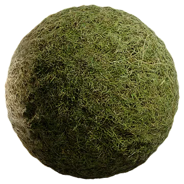 uncut grass 014 — Скачать