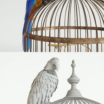 Parrot Ara — Вид 3