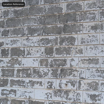 whitewashed concrete block wall texture — View 6