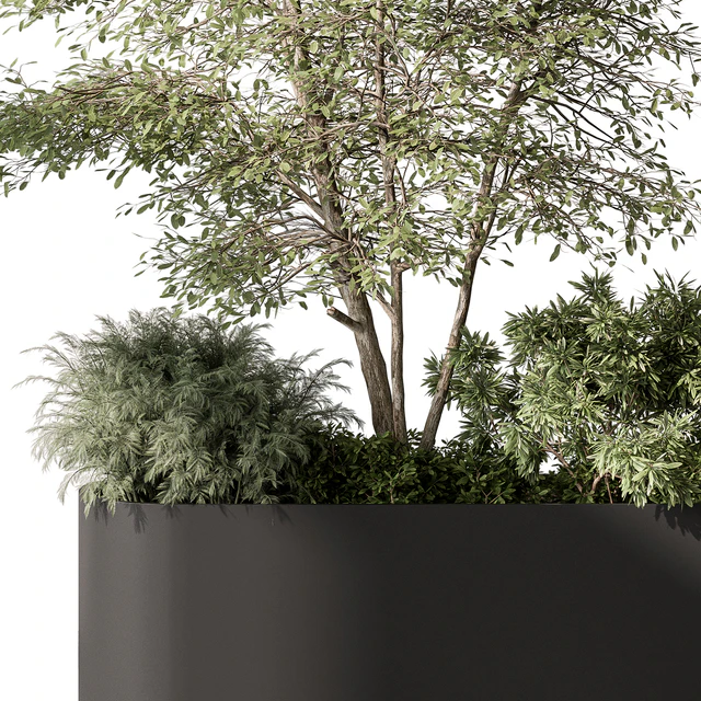 Plant Box - Outdoor Plants 515 — Скачать