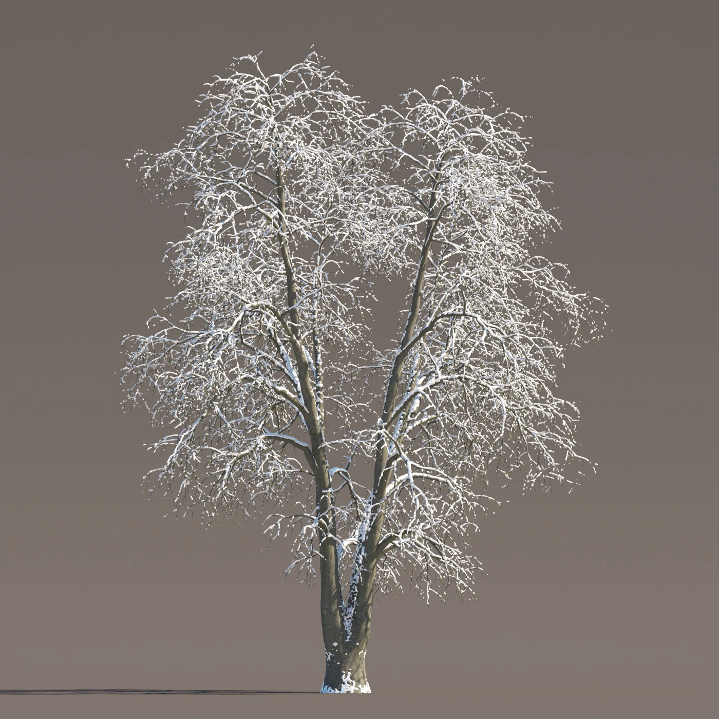 069 winter — Descargar
