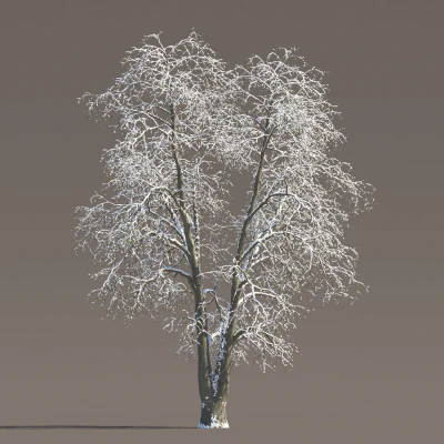 069 winter — Descargar