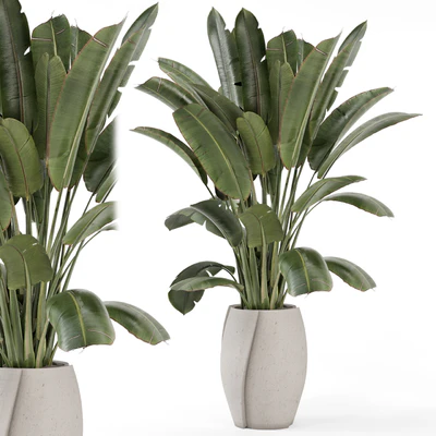 Indoor Plants  in rusty Concrete Pot - Set 1612 — Вид 3