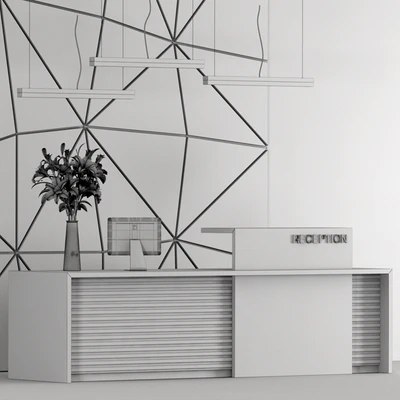 Reception 17 — Вид 2