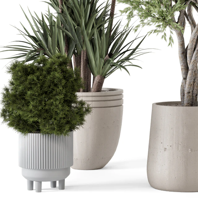 Indoor Plants in Ferm Living Bau Pot Large - Set 817 — Скачать