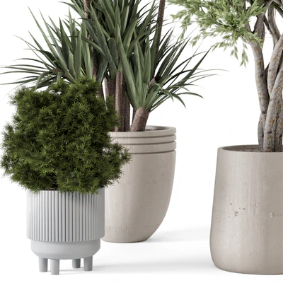 Indoor Plants in Ferm Living Bau Pot Large - Set 817 — Вид 7