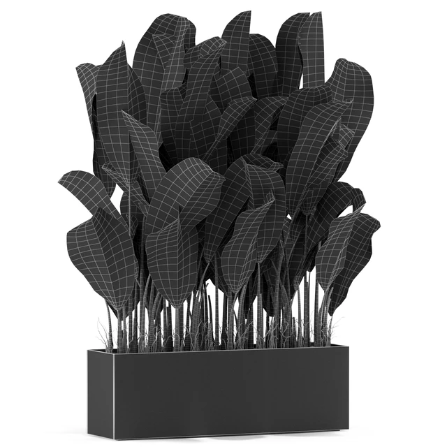 Plants collection 444 — Descargar