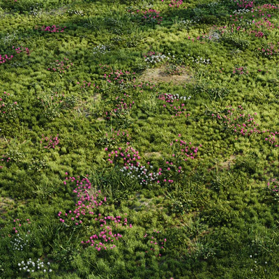 Meadow grass — Ver 1