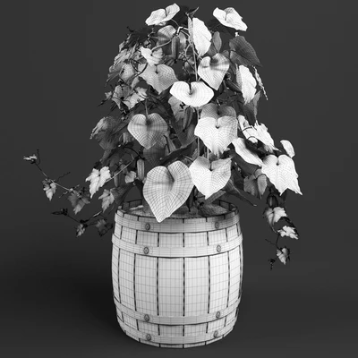 Куст огурца — Вид 2